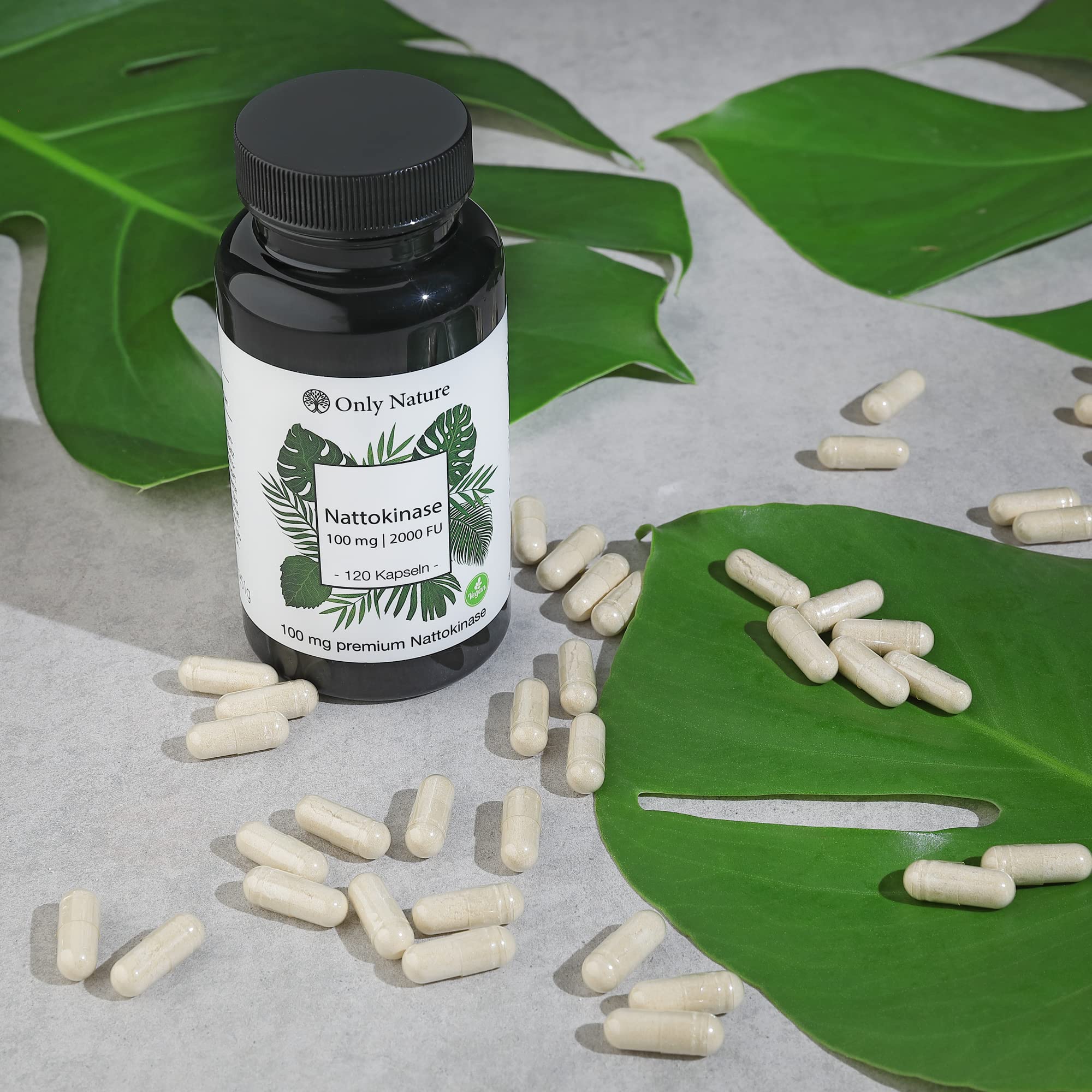 Nattokinase 100 mg (2000 FU) - hochdosiert - 120 Kapseln