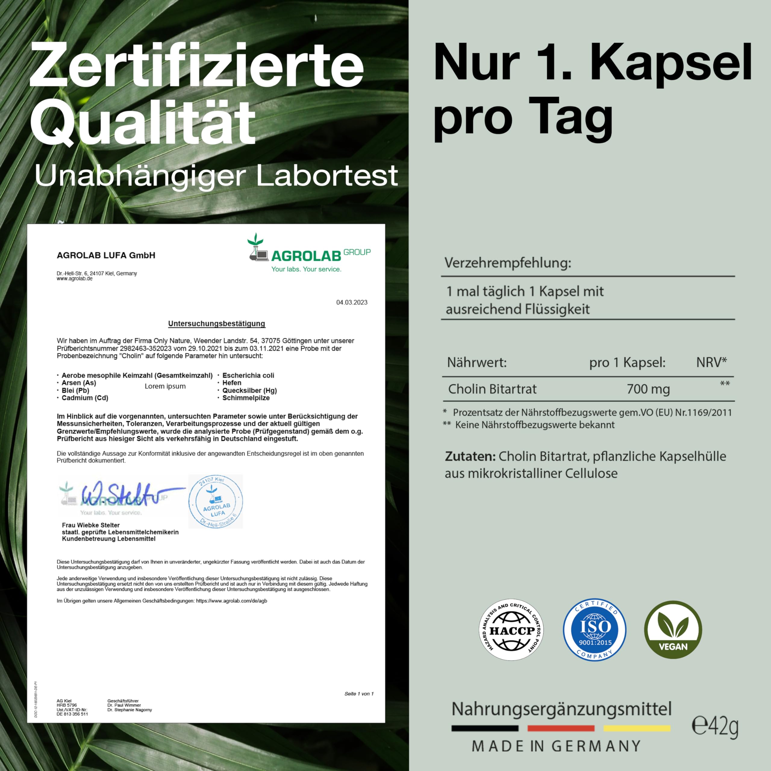 Cholin hochdosiert 700 mg - 120 Leber Kapseln