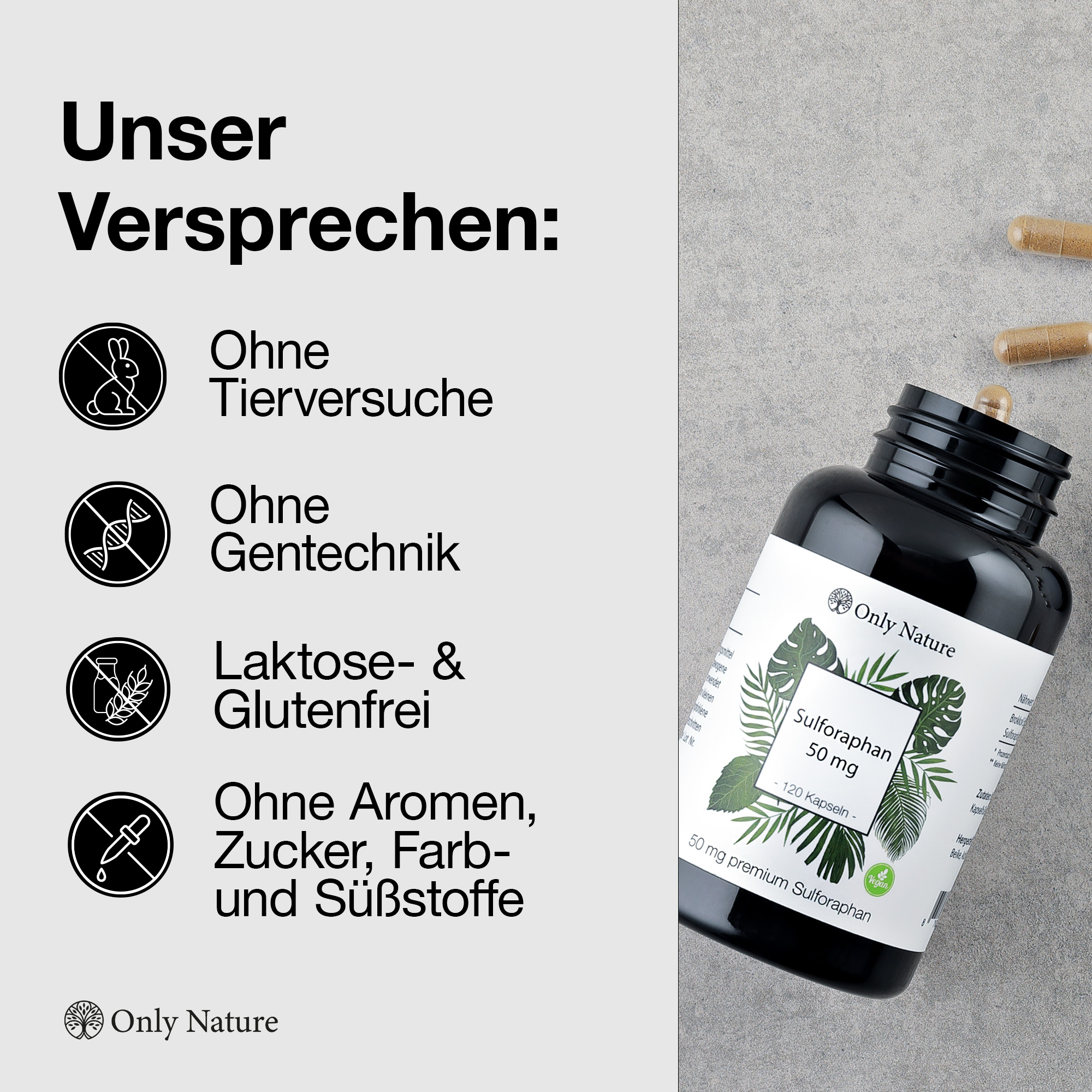 Brokkoli Kapseln - 50mg reines Sulforaphan - 120 Kapseln