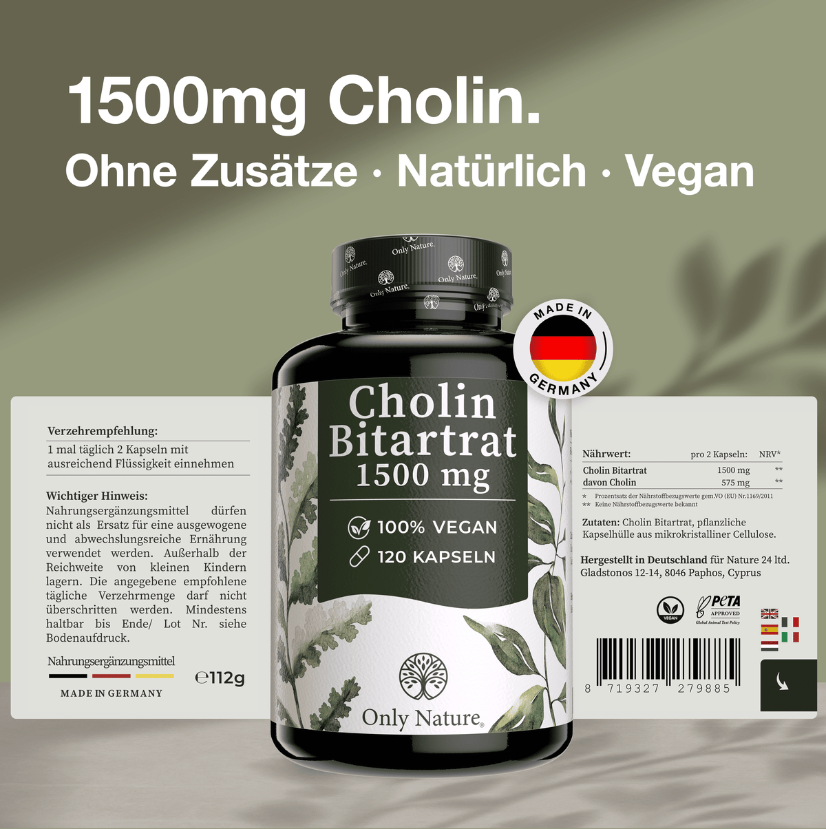 Cholin hochdosiert 700 mg - 120 Leber Kapseln