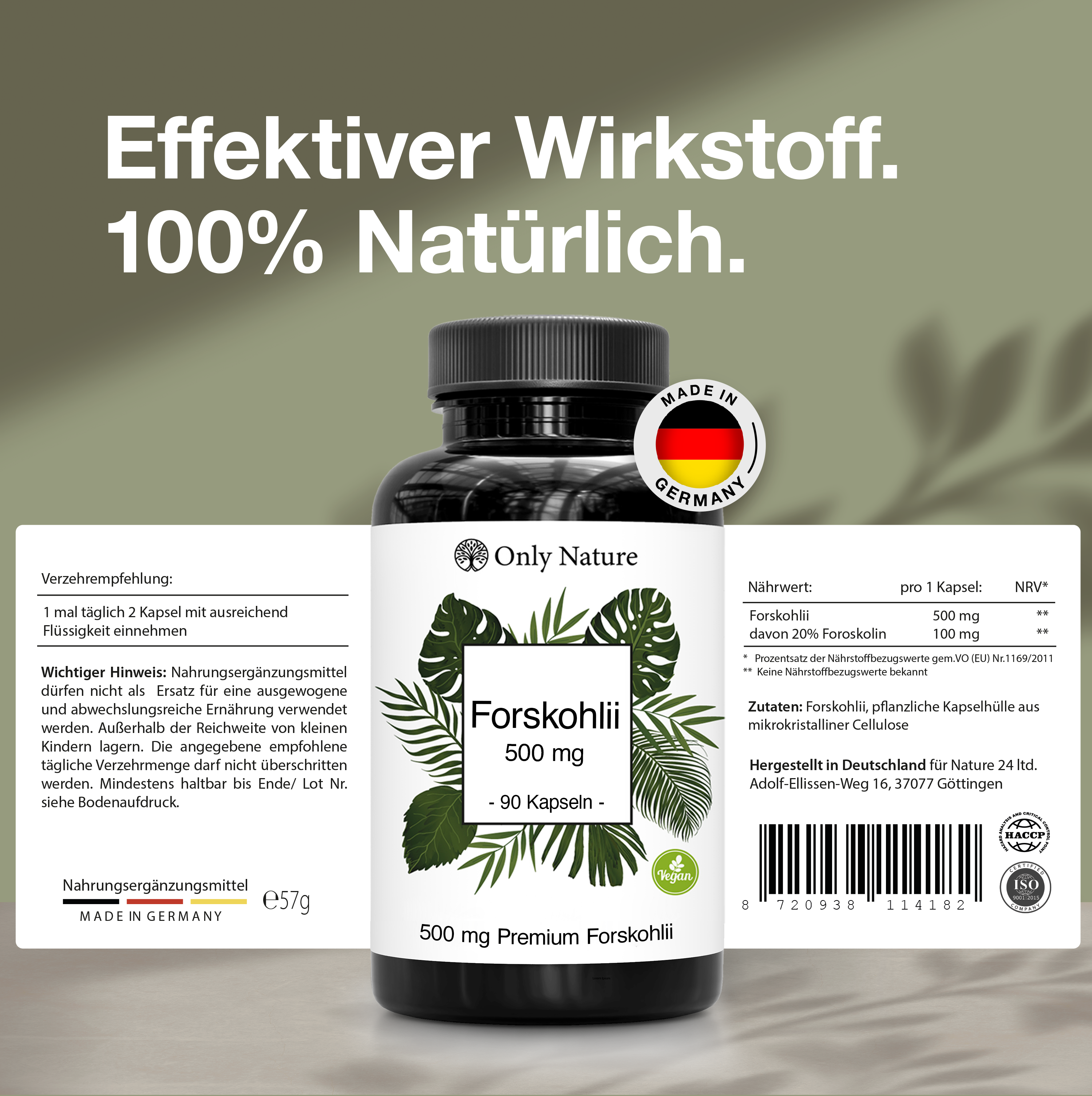 Forskolin 500 mg – 90 Kapseln