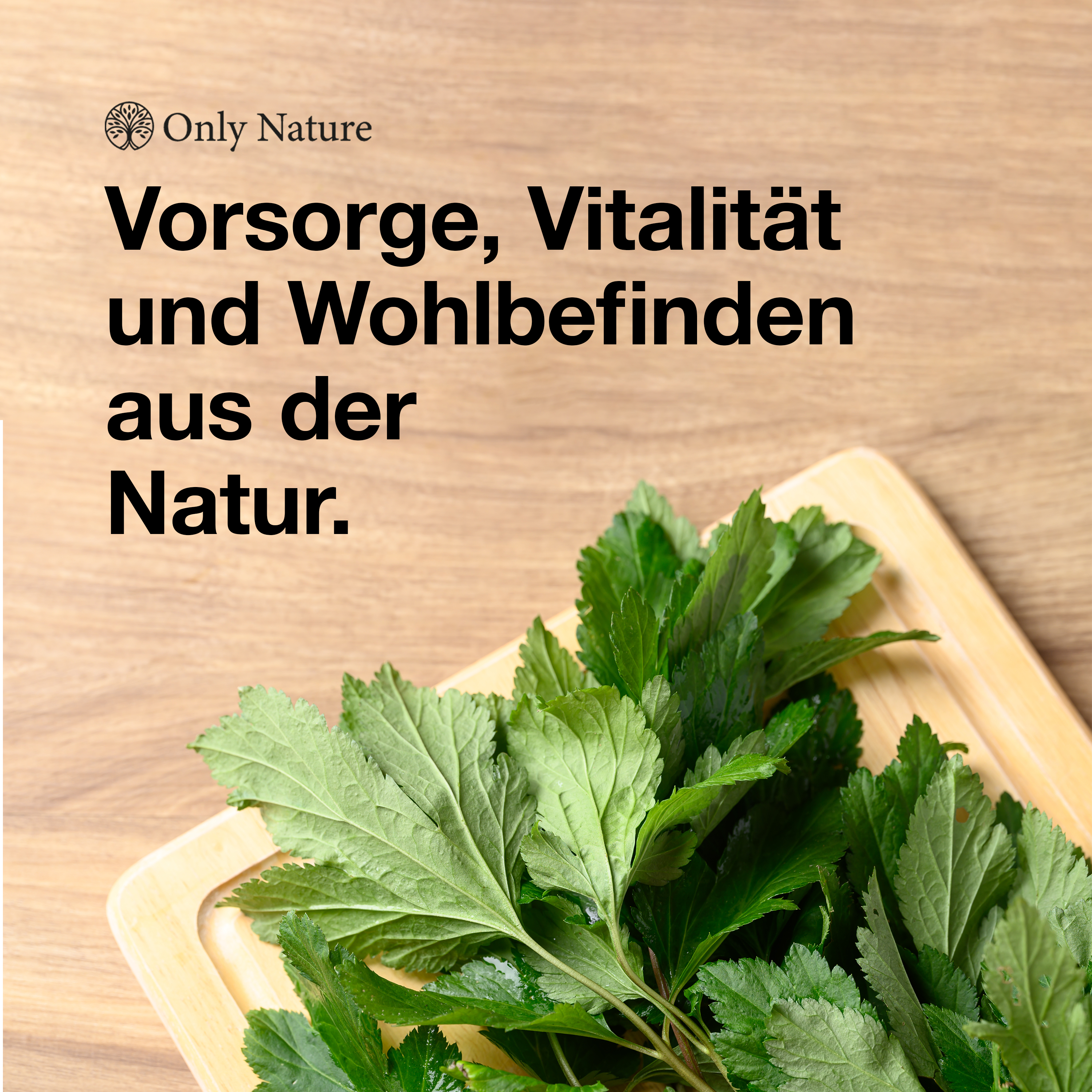 Beifuß Kapseln – 180 hochdosierte Kapseln