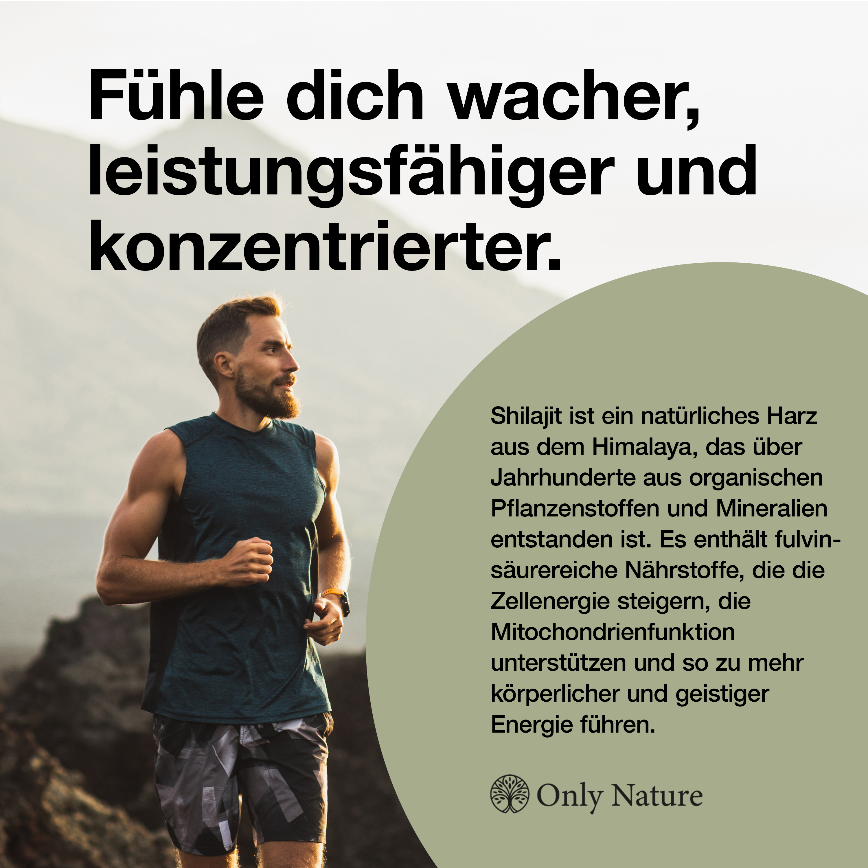 Shilajit Original 1000 mg