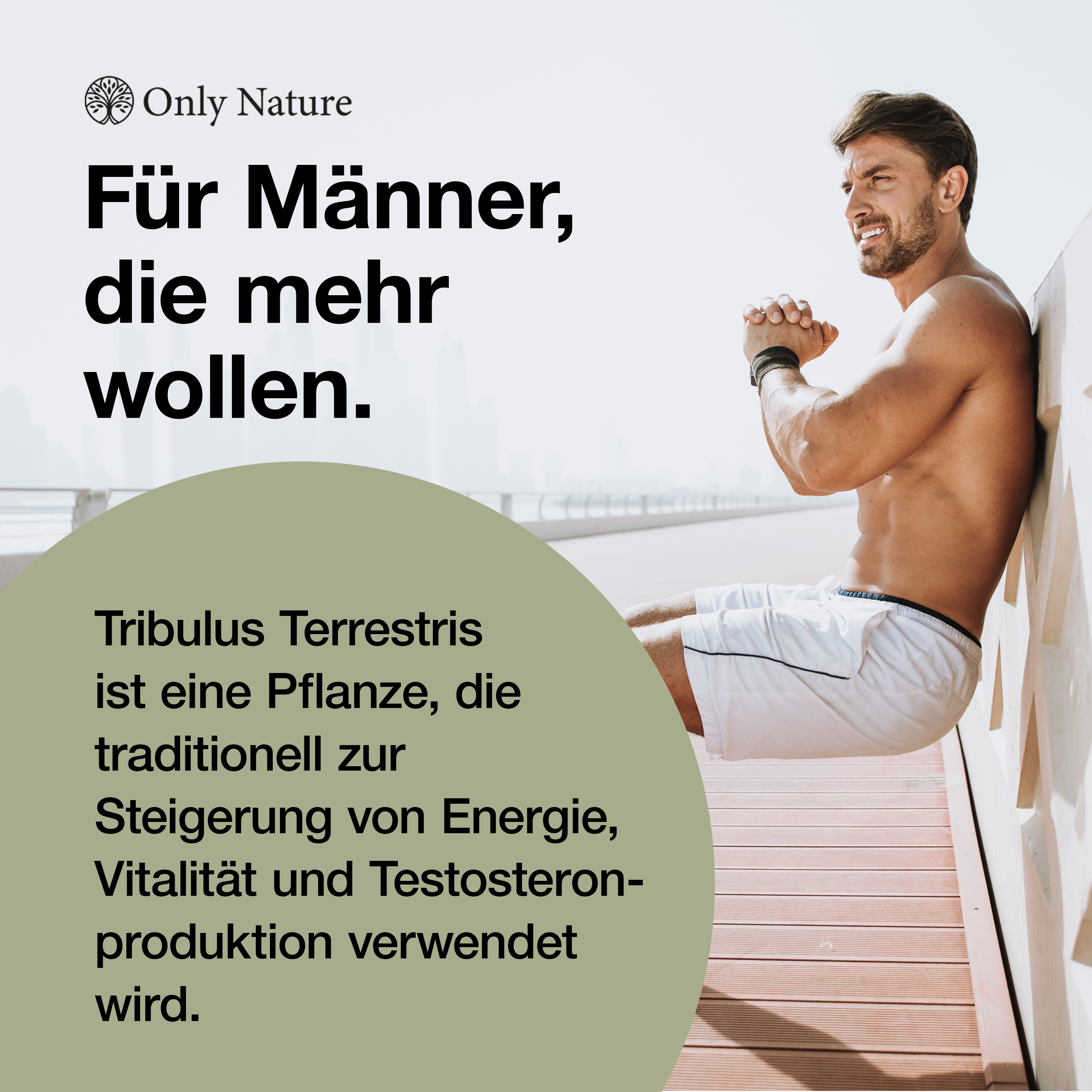 Tribulus Terrestris Kapseln – 180 Stück