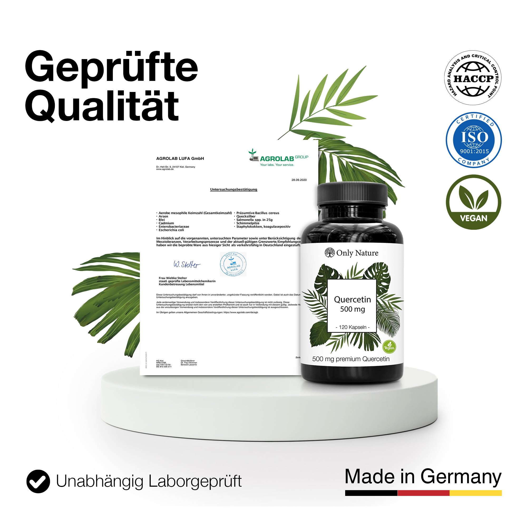 Quercetin Kapseln 500mg hochdosiert - 120 laborgeprüfte Kapseln