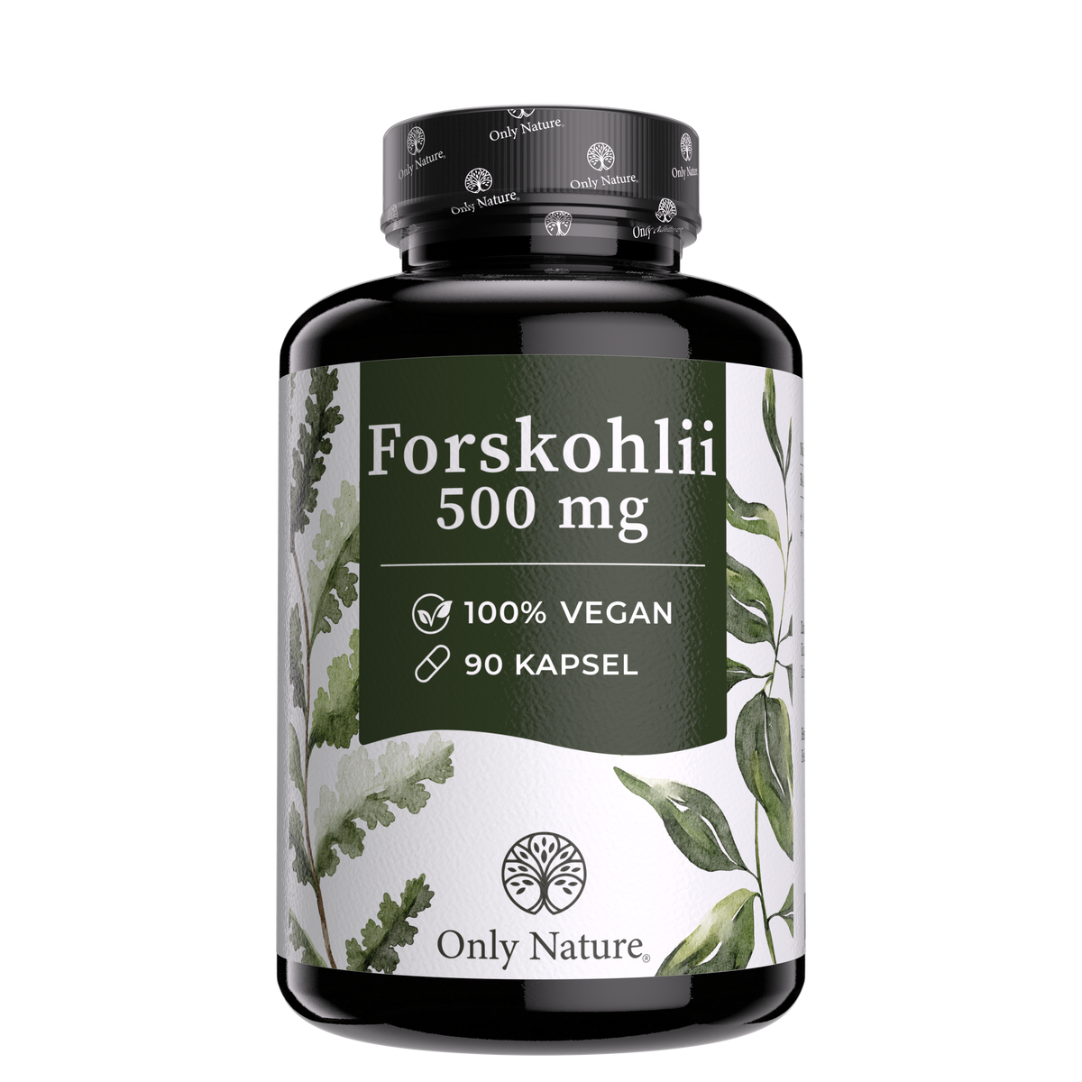 Forskolin 500 mg – 90 Kapseln