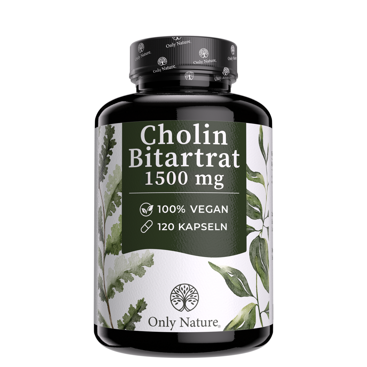 Cholin hochdosiert 700 mg - 120 Leber Kapseln