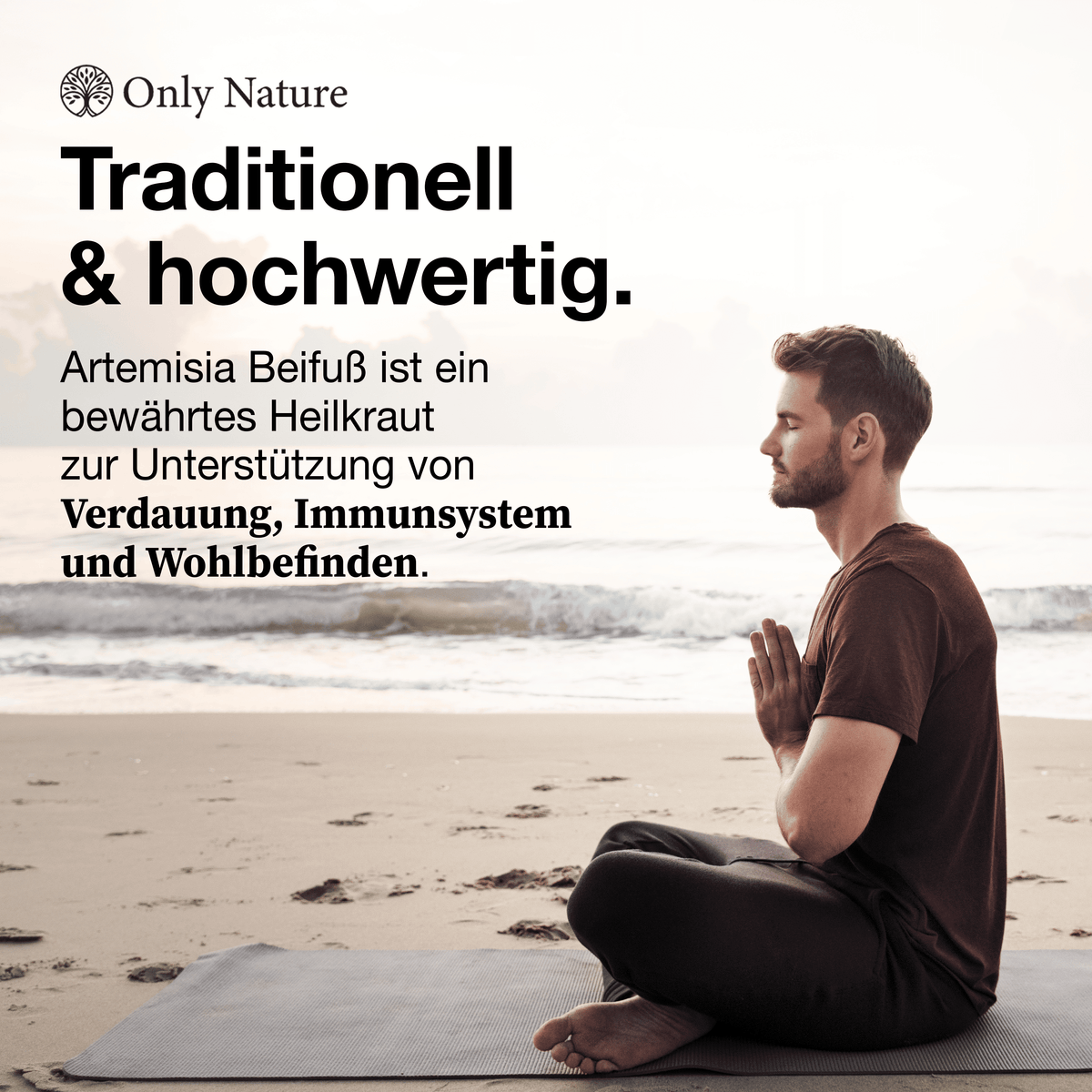 Beifuß Kapseln – 180 hochdosierte Kapseln