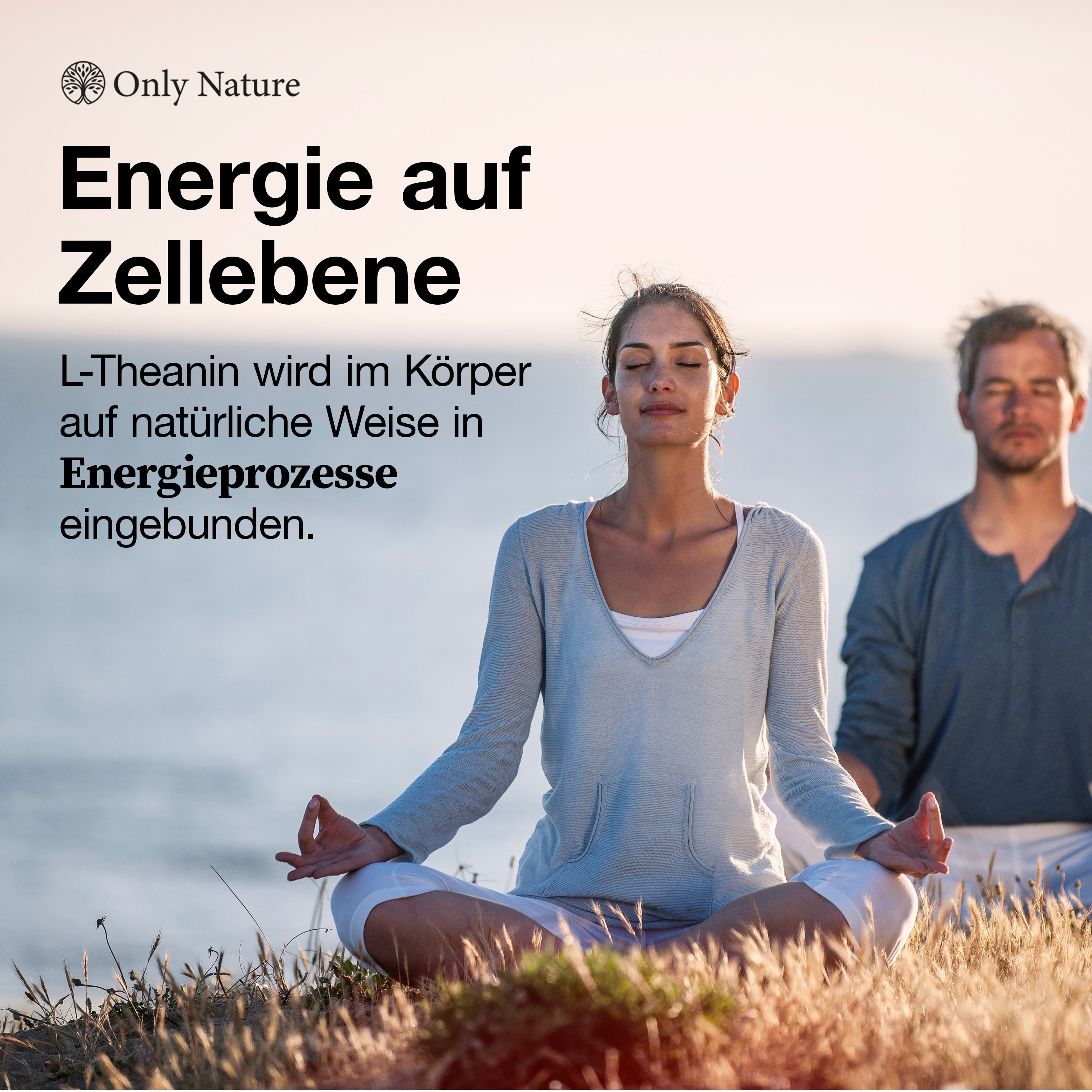 L Theanin Kapseln - 180 Stück